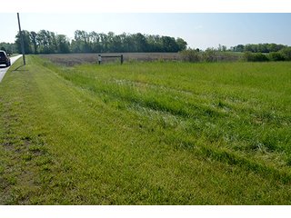 Property photo 79 - LAND AUCTION - 215+/- ACRES OFFERED IN 6 TRACTS IN VAN WERT COUNTY, OHIO